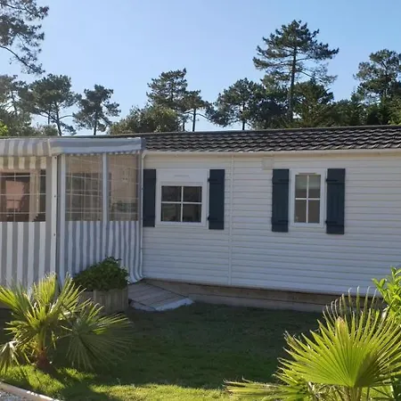 Mobil'home Terrain Prive Proche Du Zoo De La Palmyre Ouvert Toute L'annee Les Mathes