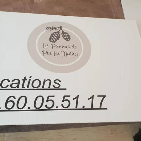 Mobil'home Terrain Prive Proche Du Zoo De La Palmyre Ouvert Toute L'annee Κάμπινγκ Les Mathes