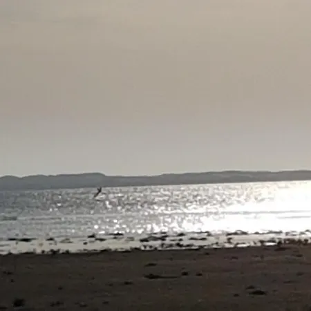 Mobil'home Terrain Prive Proche Du Zoo De La Palmyre Ouvert Toute L'annee * Les Mathes