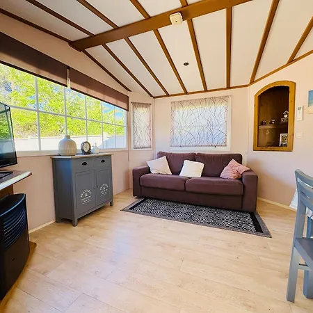 Mobil'home Climatise 4 Pers Les Pommes De Pin La Palmyre Proche Zoo Et Plages Kemping