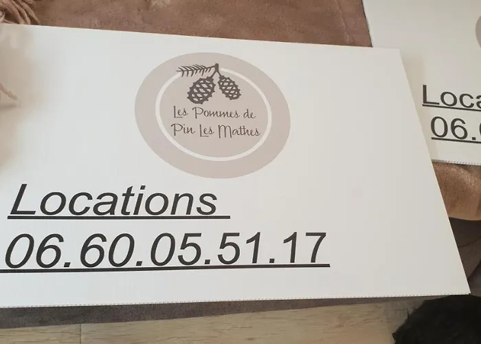 Mobil'home Terrain Prive Proche Du Zoo De La Palmyre Ouvert Toute L'annee Campingplads Les Mathes