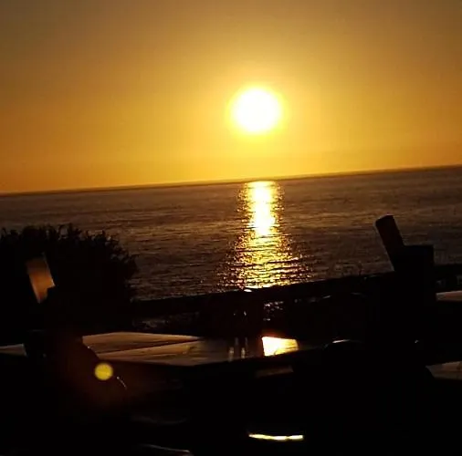 Campingplads Mobil'home Terrain Prive Proche Du Zoo De La Palmyre Ouvert Toute L'annee Les Mathes